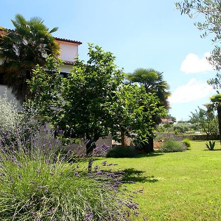 Korsa Apartment Sveti Lovreč Pazenatički Екстериор снимка