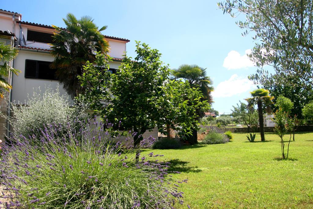Korsa Apartment Sveti Lovreč Pazenatički Екстериор снимка