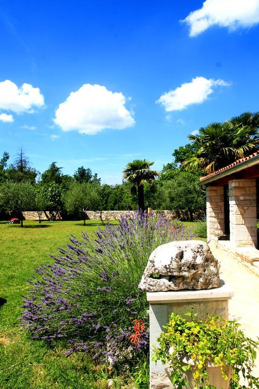 Korsa Apartment Sveti Lovreč Pazenatički Екстериор снимка